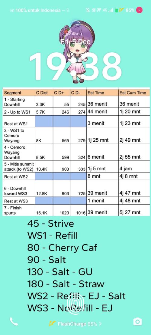 Screenshot of my raceplan
